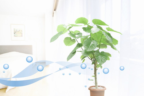 空気清浄機はCADR(クリーンエア供給率)が性能の基準
